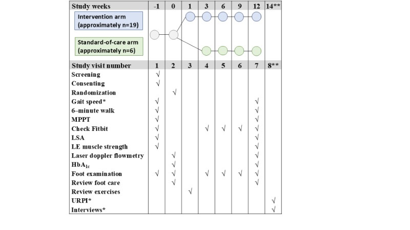 Home-Based Exercise to Improve Functional Outcomes in Veterans With a Recently Healed Diabetic Foot Ulcer: Protocol for a Pilot Randomized Controlled Trial.