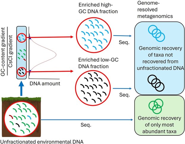 Genomic recovery from rare terrestrial microbes enabled by DNA-based GC-fractionation.