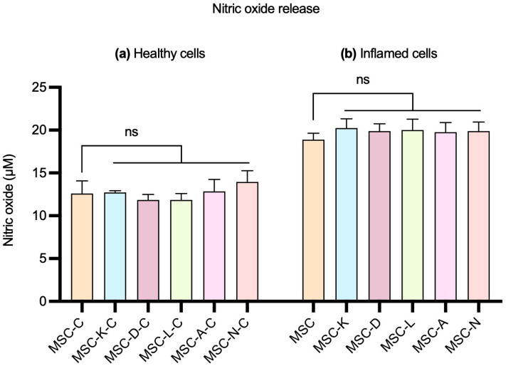 The Preservation of the Therapeutic Efficacy of the Secretome of Adipose Mesenchymal Stem Cells, Produced in the Presence of Antioxidant and Anti-Inflammatory Drugs.