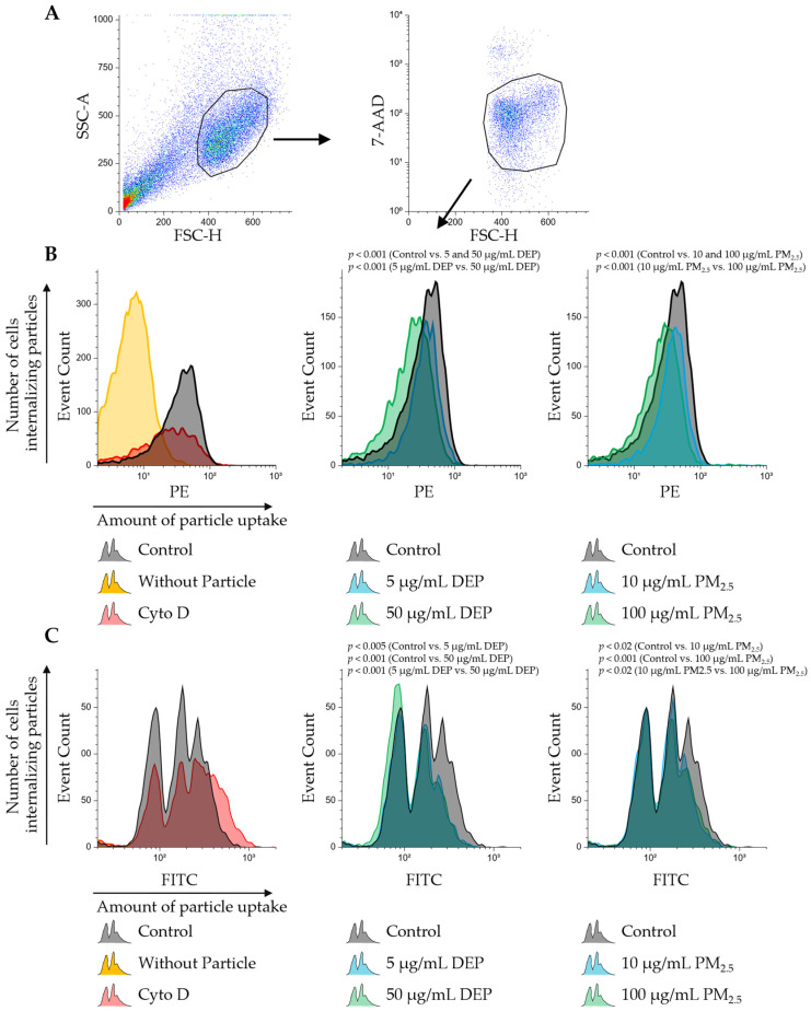 Sub-Toxic Exposure to DEPs and PM<sub>2.5</sub> Impairs Dendritic Cell Function Through Intracellular Particle Accumulation.