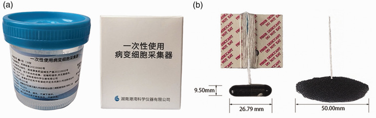 Sponge cytology combined with endoscopy in patients with long-segment Barrett's esophagus: A retrospective case series and literature review.