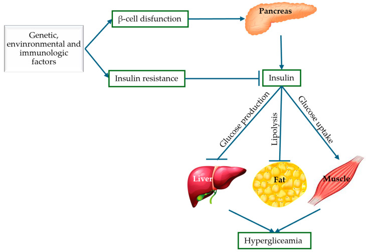 Synergism of Synthetic Sulfonamides and Natural Antioxidants for the Management of Diabetes Mellitus Associated with Oxidative Stress.