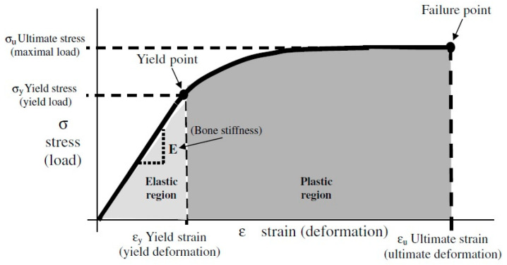 Bone Evaluation with Micro Finite Element Analysis in Animal Models.
