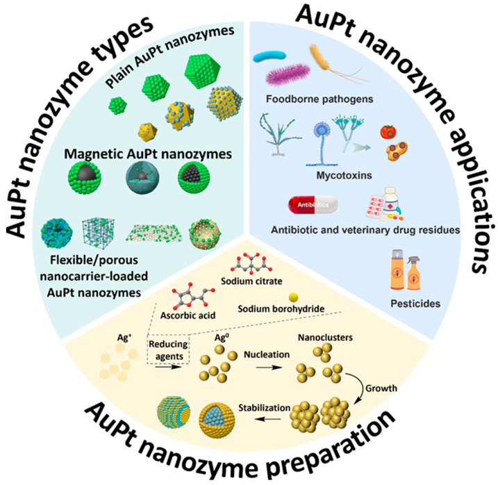 Bimetallic Gold--Platinum (AuPt) Nanozymes: Recent Advances in Synthesis and Applications for Food Safety Monitoring.