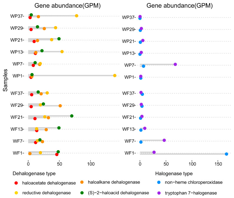 Halogenation and Dehalogenation Potential of Microorganisms in Yangtze River Waters.