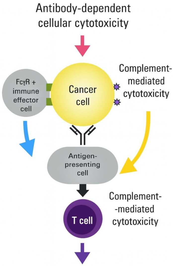 Engineering Universal Cancer Immunity: Non-Tumor-Specific mRNA Vaccines Trigger Epitope Spreading in Cold Tumors.