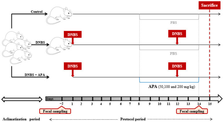 Pharmacological Potential of <i>Arthrospira platensis</i> in Mitigating Sub-Chronic Colitis: Redox Homeostasis and Gut Microbiota Modulation.