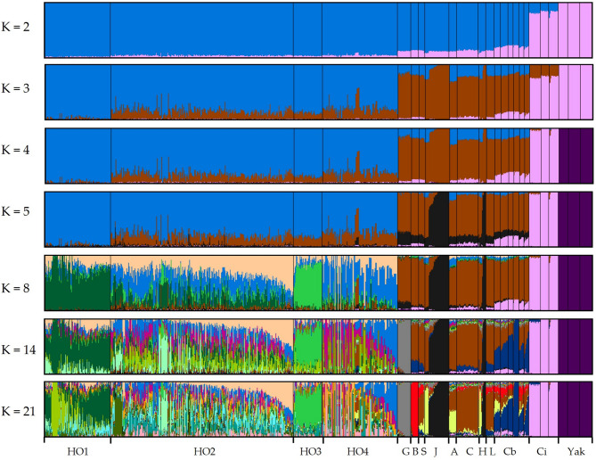 Genomic diversity in Chinese Holstein cattle and genome-wide association study for body conformation traits.