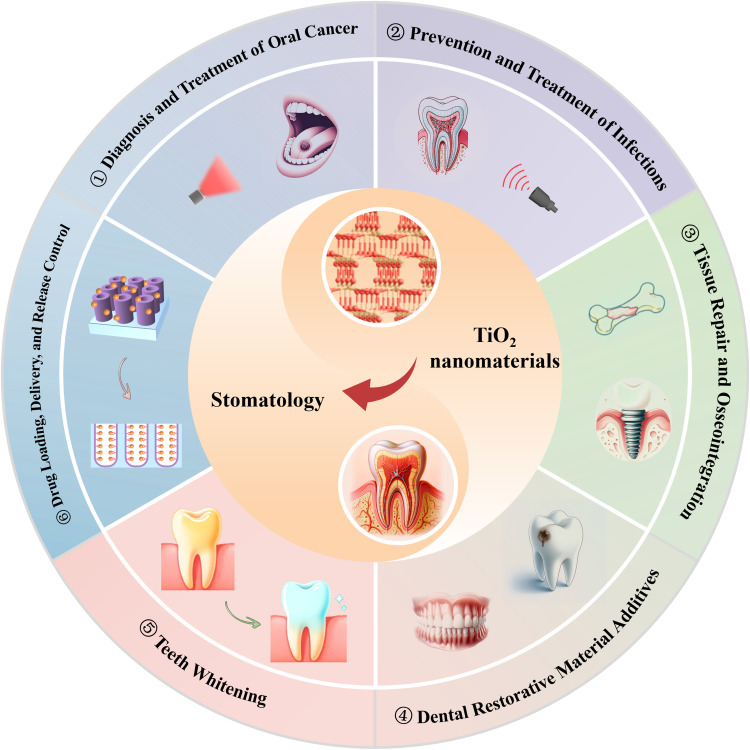 How TiO<sub>2</sub> Nanomaterials are Emerging as Key Therapeutics in Stomatology.