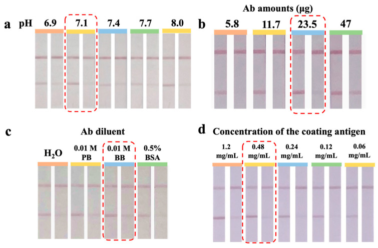 UiO-66-NH<sub>2</sub>-Deposited Gold Nanoparticles Enable Enhanced Interference-Resistant Immunochromatographic Assay for Rapid Detection of Gentamicin in Animal-Derived Foods.