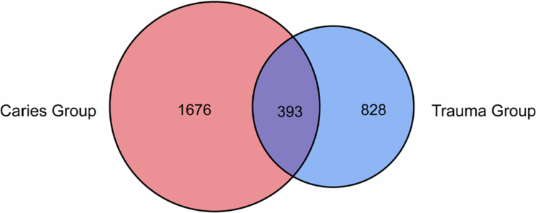 Microbiome differences between trauma- and caries-derived periapical lesions using next-generation sequencing.