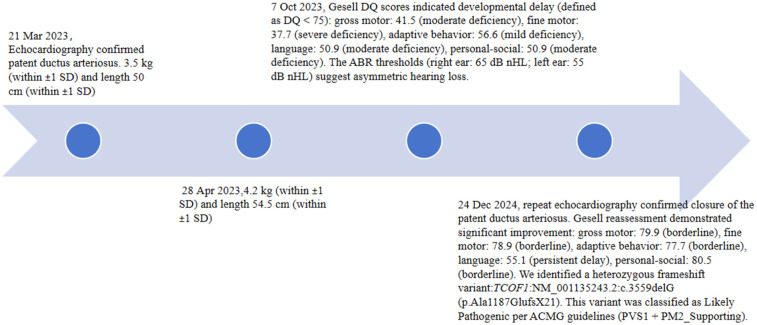 Case Report: A novel heterozygous variant of the <i>TCOF1</i> gene in Treacher Collins syndrome.