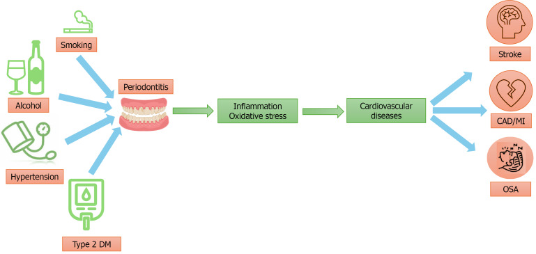 Association of chronic periodontitis in a broad spectrum of cardiometabolic syndrome: A minireview.