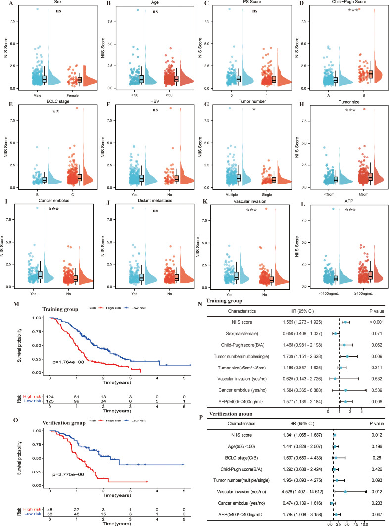 Establishment and Validation of a Novel Nutritional-Immune-Inflammatory Score Model for Predicting Survival Prognosis in Hepatocellular Carcinoma Patients Treated with PD-1 Inhibitors.
