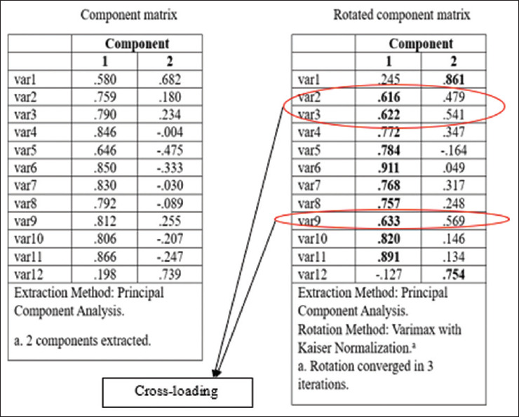 Criterion validity, construct validity, and factor analysis: An introductory overview.