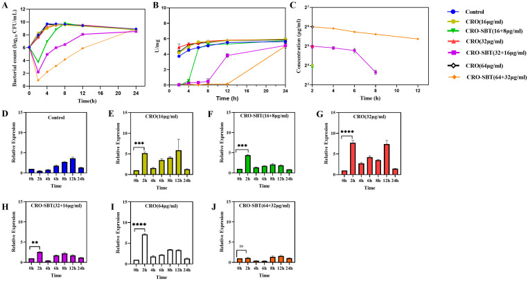 Postβ-Lactamase-Inhibiting Effect of Sulbactam in Combination with Ceftriaxone on Extended-Spectrum-β-Lactamase-Producing <i>Escherichia coli</i>.