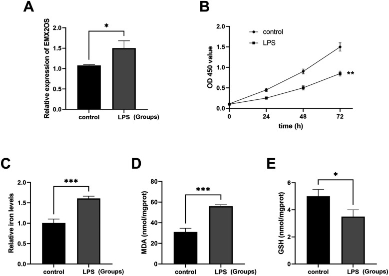 EMX2OS serves as a biomarker of neonatal sepsis and participates acute lung injury through enhancing ferroptosis.