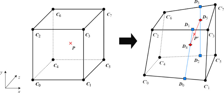 GPU-accelerated deformation mapping in hybrid organ models for real-time simulation.