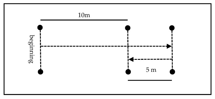The Impact of an 8-Week Running Technique Program on Linear and Change-of-Direction Speed in Youth Football-A Pilot Study.