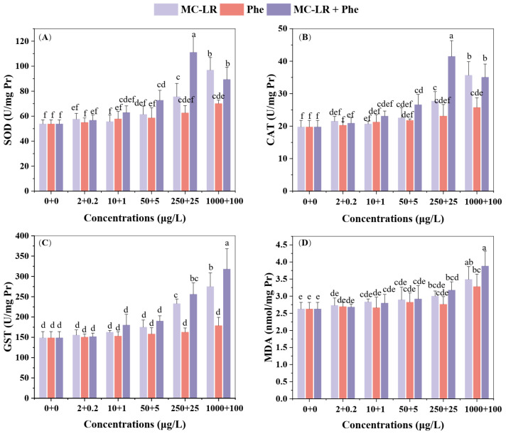 Phenanthrene Amplifies Microcystin-Induced Toxicity in the Submerged Macrophyte <i>Vallisneria natans</i>.
