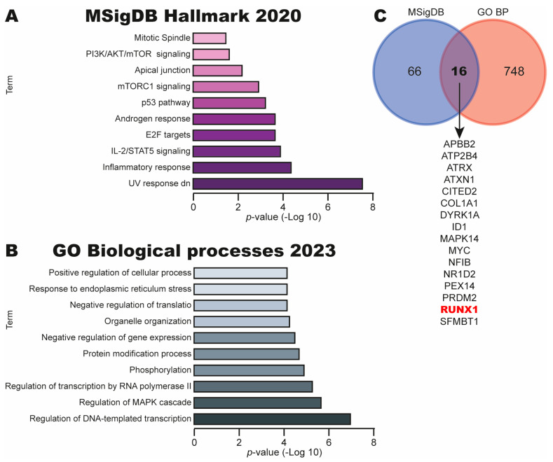 Let-7c/RUNX1 Axis Promotes Cervical Cancer: A Bioinformatic Analysis.