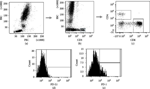 Influence of PD-1 and PD-1L Immune Exhaustion Receptors on Immune Reconstruction in People Living With HIV.