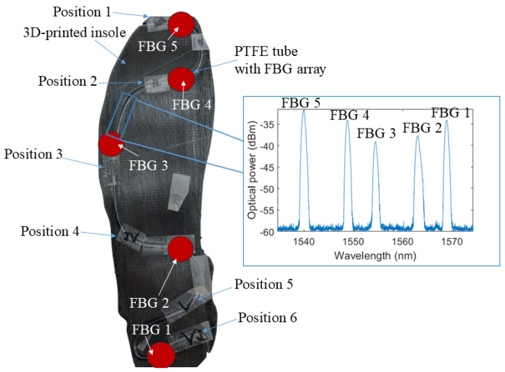 Fiber Bragg Grating Embedded 3D-Printed Insole with Commercial and Portable Reader for Stance Phase Determination.