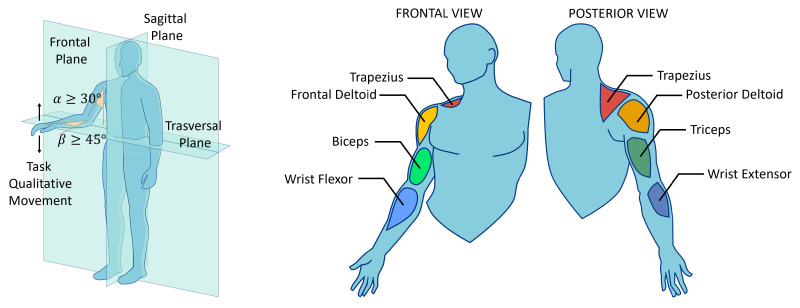 Impact of Force Scaling on Physician Fatigue in a Bilateral Tele-Ultrasound System.