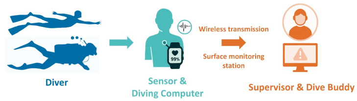 Wearable Technology in Diving: A Review of Heart Rate and Oxygen Saturation Monitoring for Enhanced Safety and Performance.