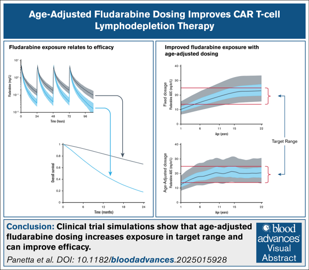 Age-adjusted dosing of fludarabine for lymphodepletion in CAR T-cell therapy: a clinical trial simulation study.