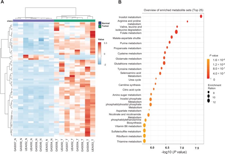 TP53 gene and pathway alterations in gastric-type adenocarcinoma of the cervix.