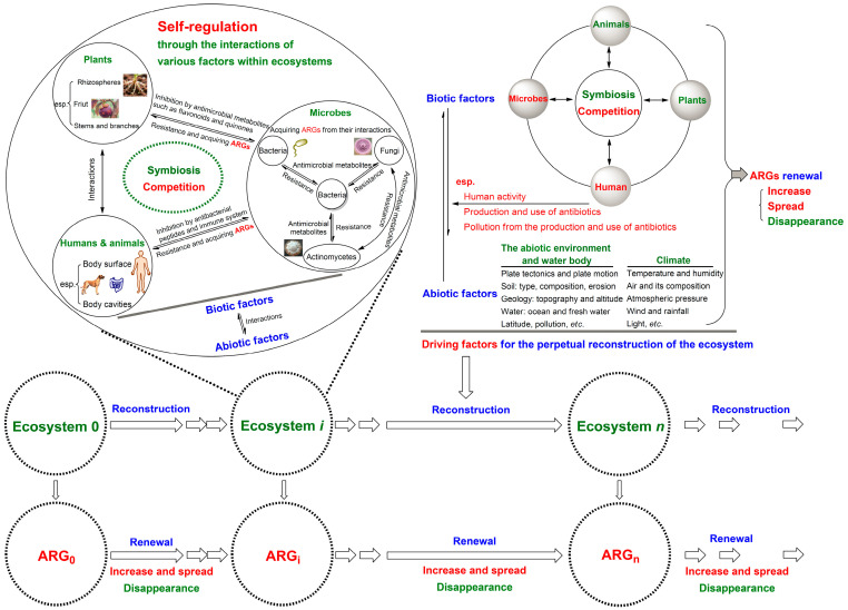 One Earth-One Health to Combat Antimicrobial Resistance Having a Dual Mutation Pattern, Based on the Robust Self-Regulation and Perpetual Reconstruction of Ecosystems.