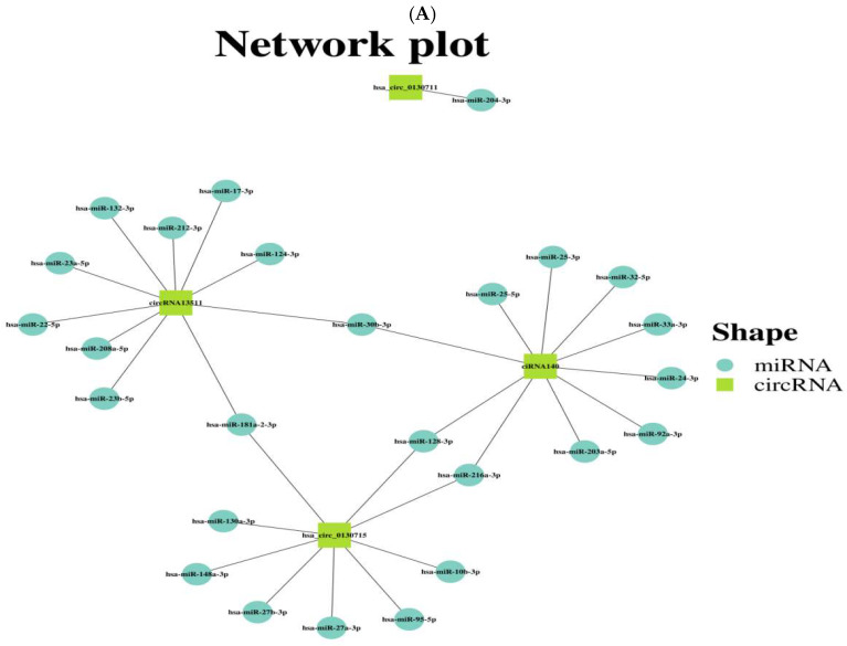 Identification of Riboflavin Metabolism Pathway in HepG2 Cells Expressing Genotype IV Swine Hepatitis E Virus ORF3 Protein.