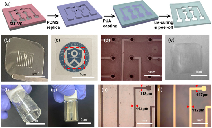 Flexible and Stretchable Microneedle Electrode Arrays by Soft Lithography for Continuous Monitoring of Glucose.