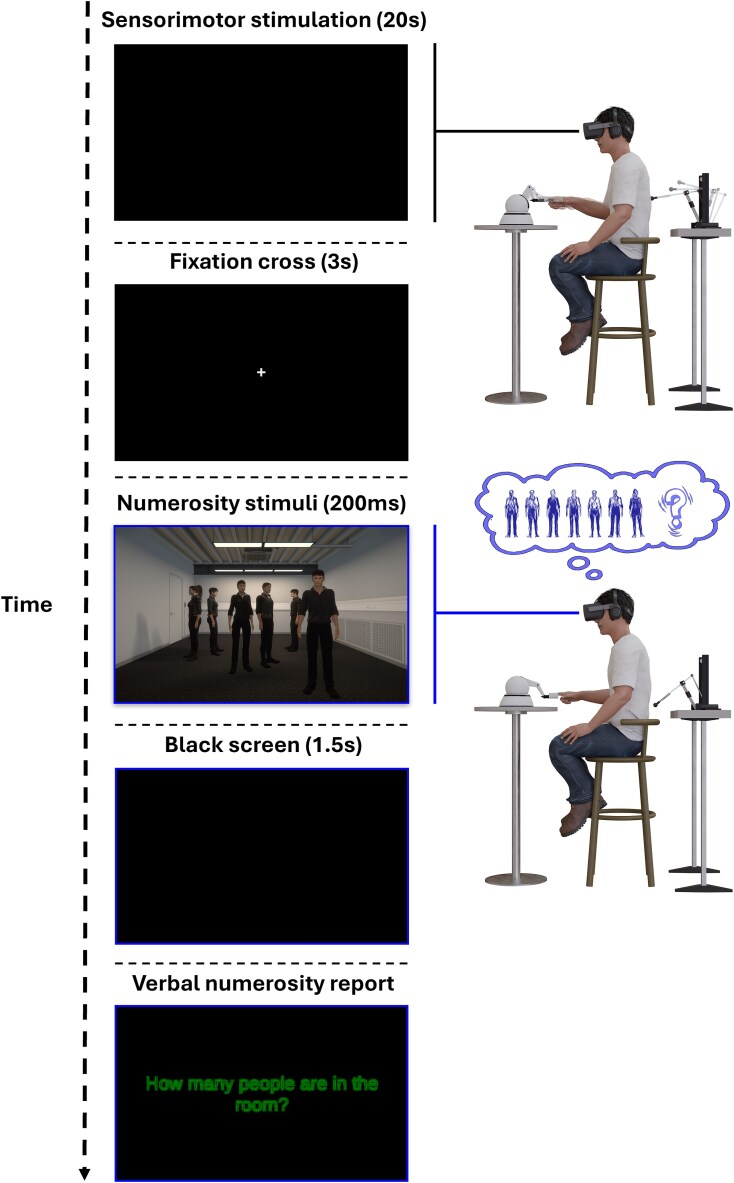 Extrastriate activity reflects sensorimotor-induced bias in estimating number of visual humans.