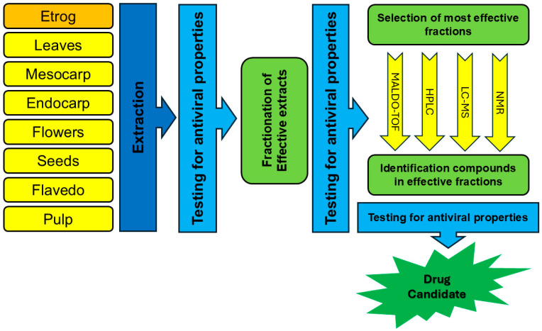 <i>Etrog Citron</i> (<i>Citrus medica</i>) as a Novel Source of Antiviral Agents: Overview of Its Bioactive Phytochemicals and Delivery Approaches.