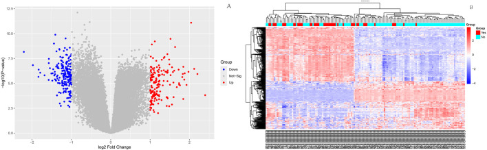 Bioinformatics-based identification of differentially expressed genes in endometrial carcinoma: implications for early diagnosis and prognostic stratification.