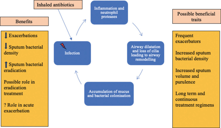 Inhaled antibiotics and non-cystic fibrosis bronchiectasis: Trying to solve the puzzle.