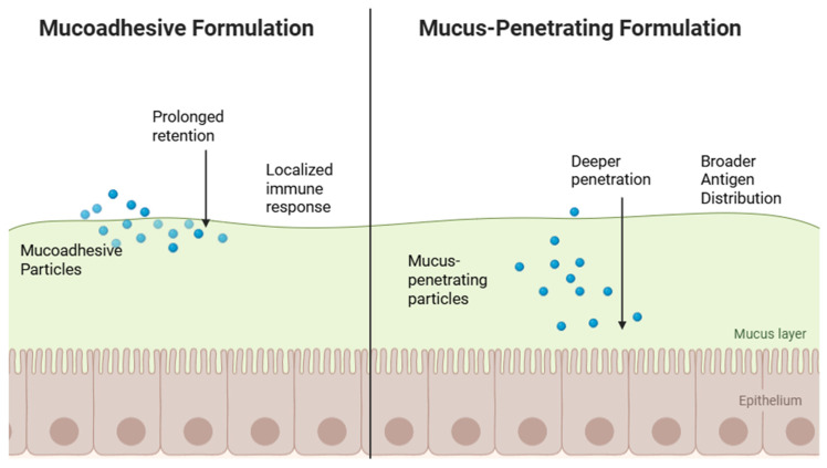 Recent Advancements in Non-Invasive Vaccination Strategies.