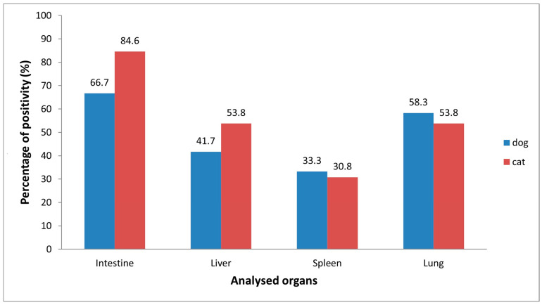 Linking Pollution and Viral Risk: Detection of Dioxins and Coronaviruses in Cats and Dogs.