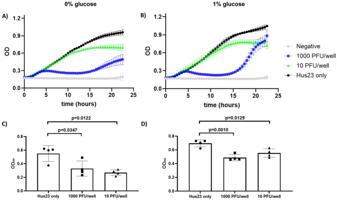 A link to the past: classical phage ISP infects the recently described Staphylococcus borealis species.