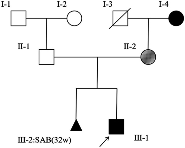 Case Report: A novel heterozygous variant of the <i>TCOF1</i> gene in Treacher Collins syndrome.