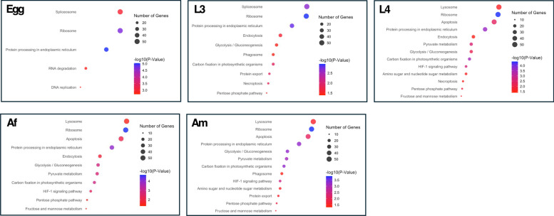 Comprehensive developmental somatic proteome atlas of Haemonchus contortus underpinned by a chromosome-scale genome and deep tandem mass spectrometry.