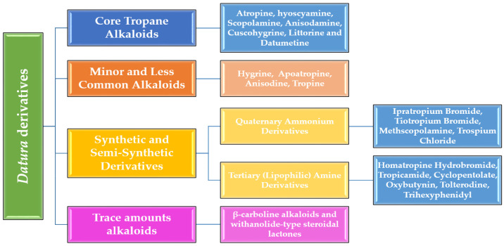 Bioorganic Chemistry, Toxinology, and Pharmaceutical Uses of <i>Datura</i> Metabolites and Derivatives.