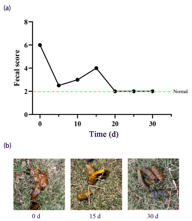 Effects and Microbiota Changes Following Oral Lyophilized Fecal Microbiota Transplantation Capsules in Canine with Chronic Enteropathy After Parvovirus Infection: Case Report.