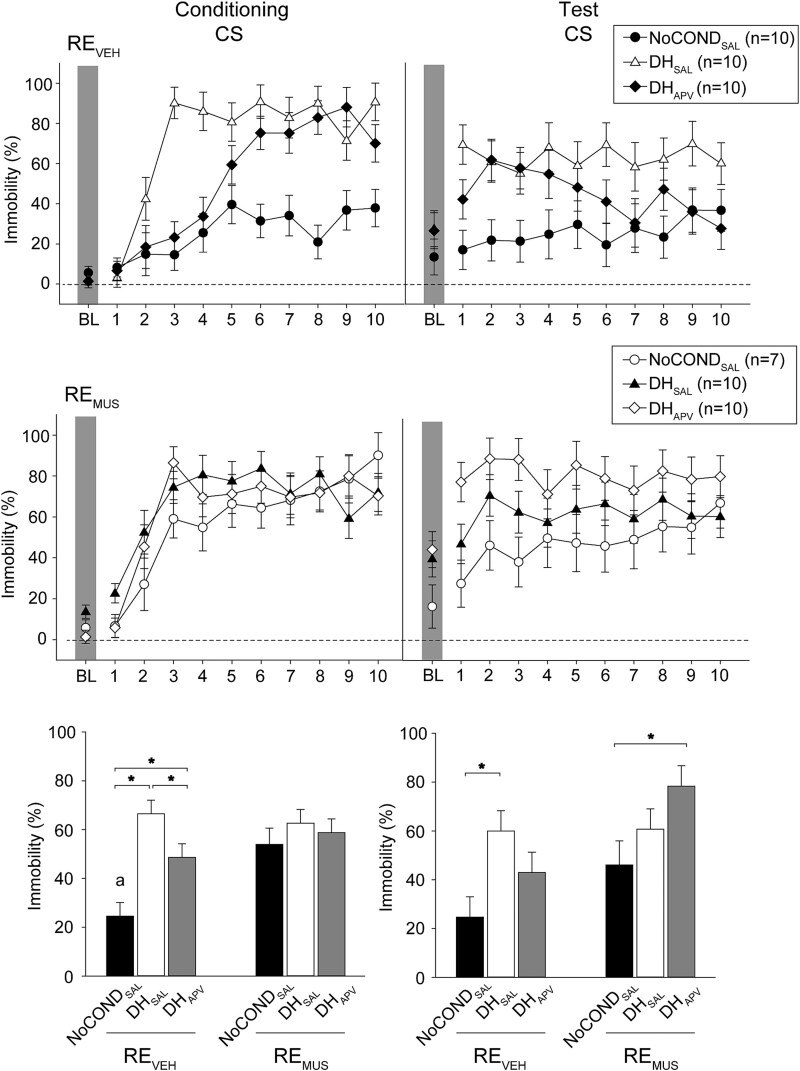 Acquisition of trace fear conditioning without functional nucleus reuniens did not require dorsal or ventral hippocampus NMDA receptor activation in male Long-Evans rats.