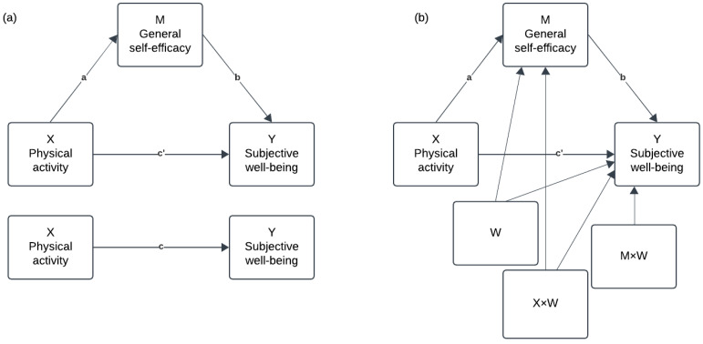 General Self-Efficacy as a Mediator of Physical Activity's Impact on Well-Being Among Norwegian Adolescents: A Gender and Age Perspective.