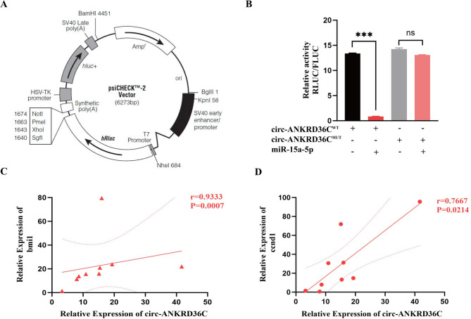 Circular RNA profiling and functional analysis implicate circ-ANKRD36C as a potential prognostic biomarker in gastric cancer.