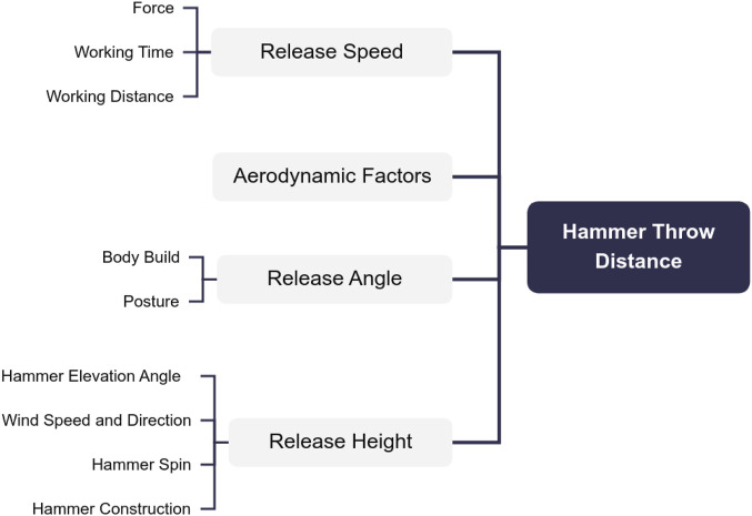 A kinematic analysis of the hammer throw technique in elite female athletes: a comparative study between Chinese and international competitors.