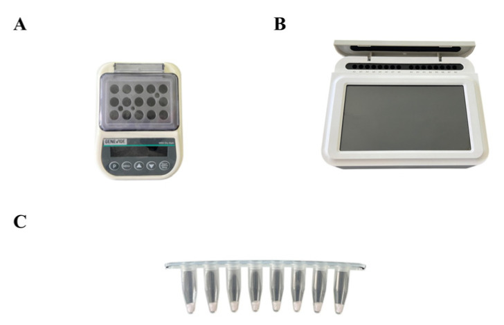 Field-Deployable Detection of Chestnut Blight Pathogen <i>Cryphonectria parasitica</i> Using Enzyme-Mediated Duplex Exponential Amplification.